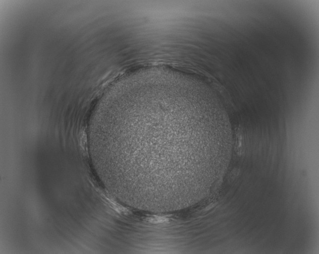 X0000076420523200610161130