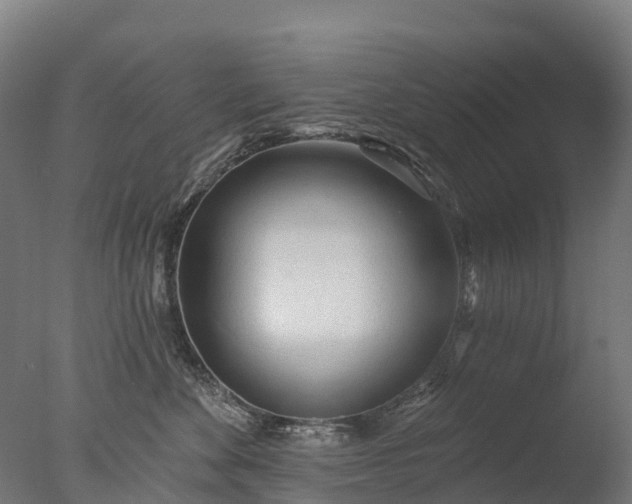 X0000076420524200610161130