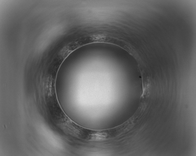 X0000076420525200610161130