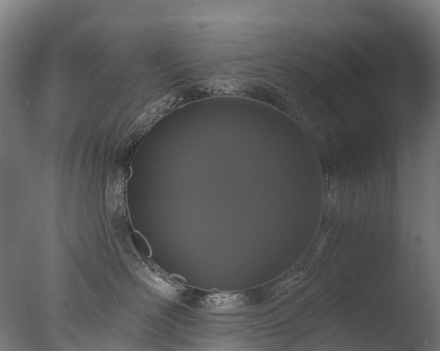 X0000076420526200610161130