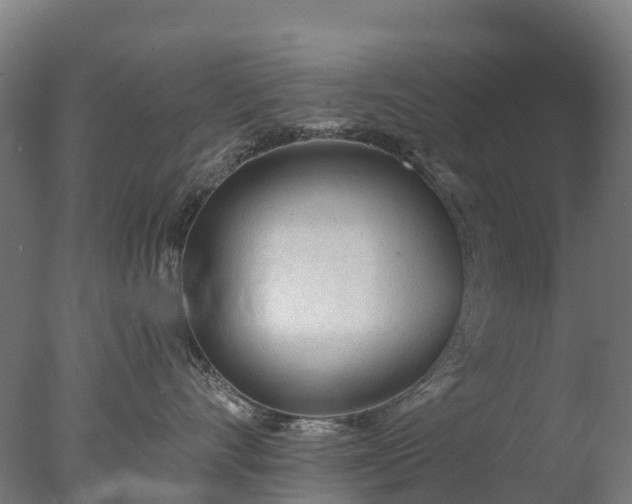 X0000076420528200610161130