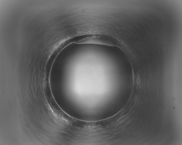 X0000076420540200610161129