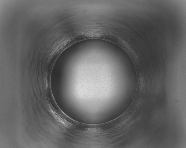 X0000076420541200610161129