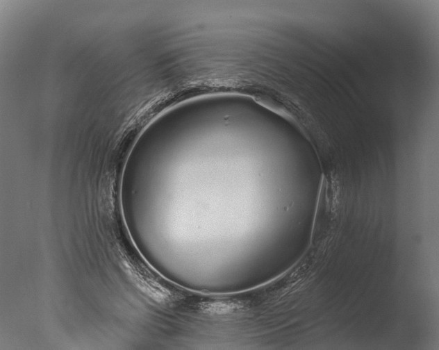 X0000076420542200610161129
