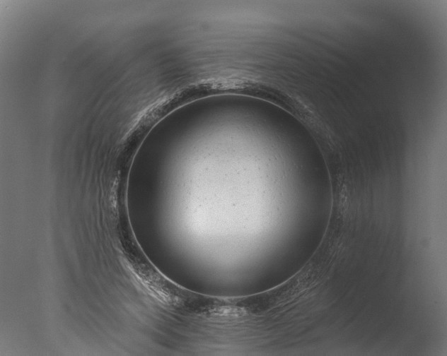 X0000076420543200610161129