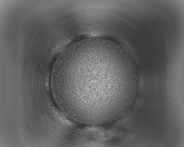 X0000076420545200610161129