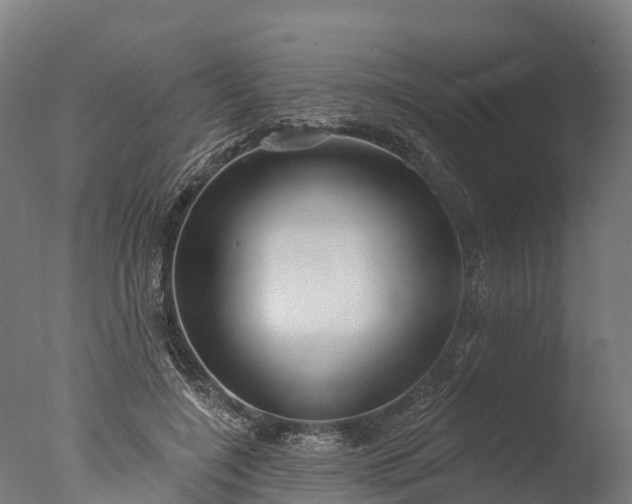 X0000076420548200610161129