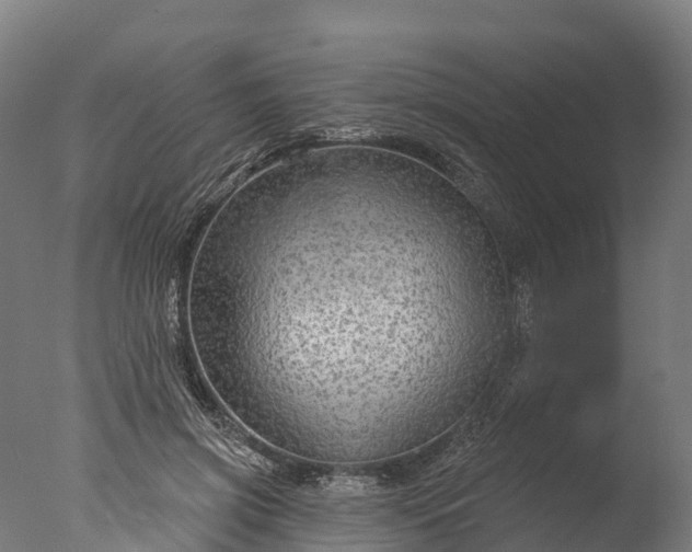 X0000076420549200610161129