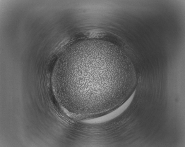 X0000076420554200610161129