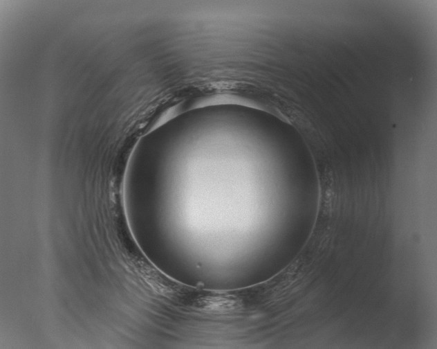 X0000076420555200610161129