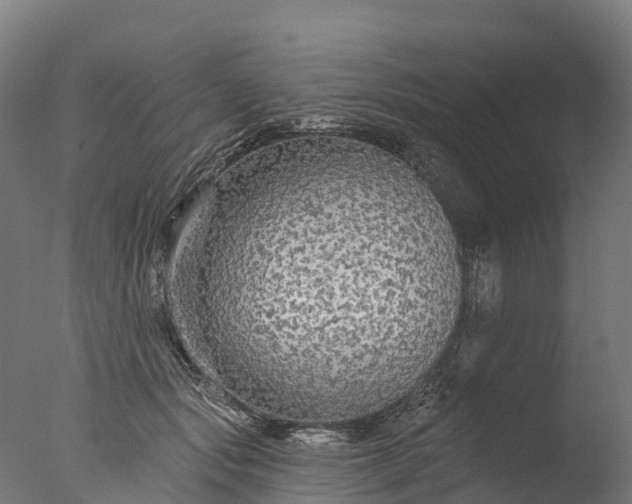 X0000076420557200610161129