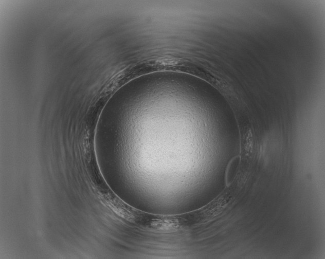 X0000076420559200610161129