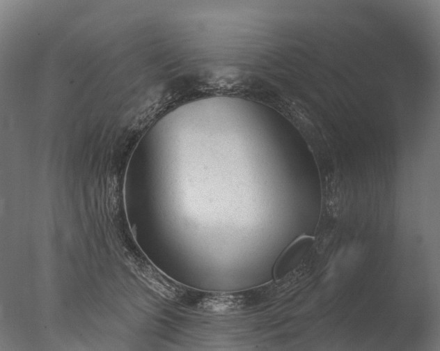 X0000076420563200610161129