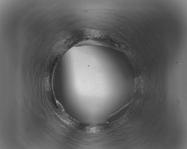 X0000076420564200610161129