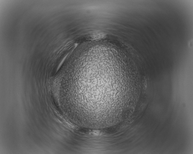 X0000076420565200610161129