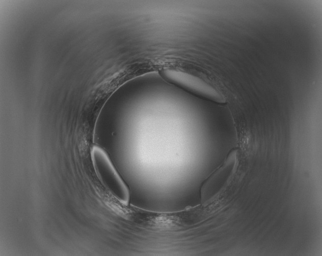 X0000076420566200610161130