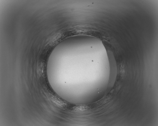 X0000076420567200610161130