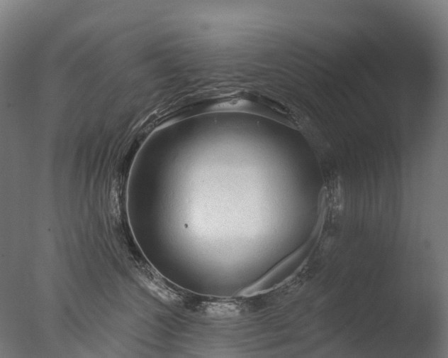 X0000076420572200610161130