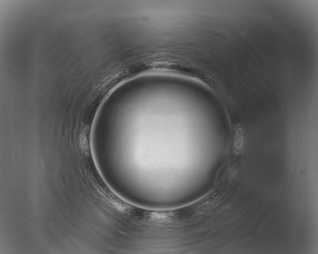 X0000076420573200610161130