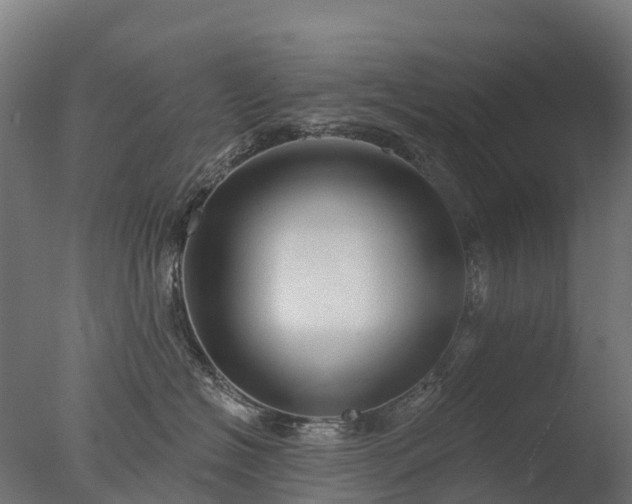 X0000076420574200610161130