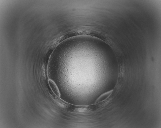 X0000076420575200610161130