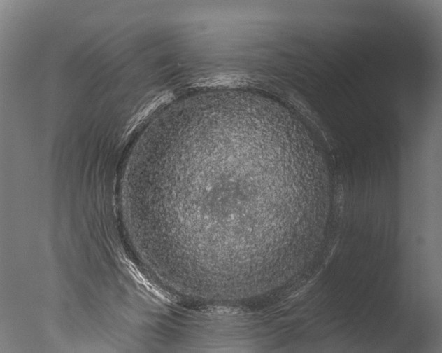X0000076420585200610161129