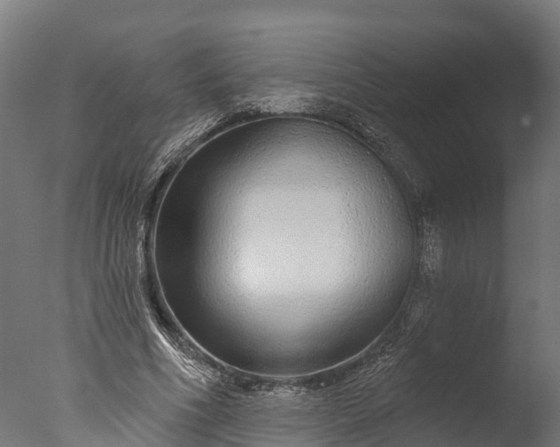 X0000076420586200610161129