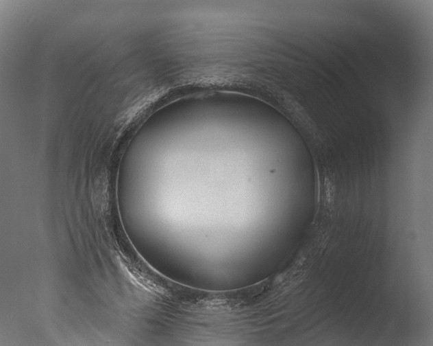 X0000076420588200610161129
