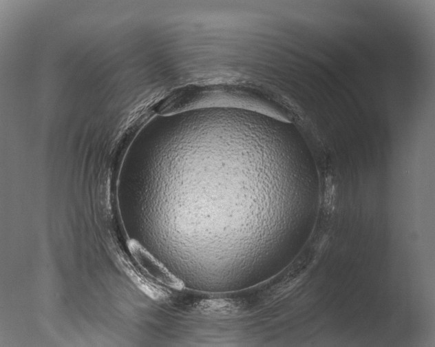 X0000076420589200610161129