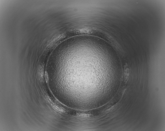 X0000076420593200610161129