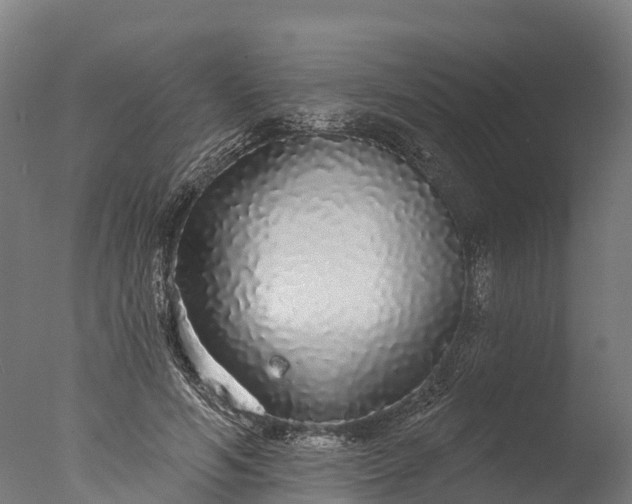 X0000076420594200610161129