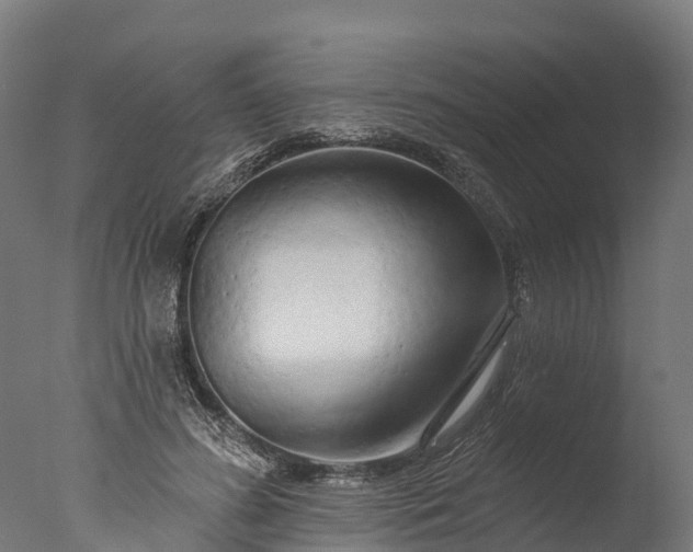 X0000076420596200610161129