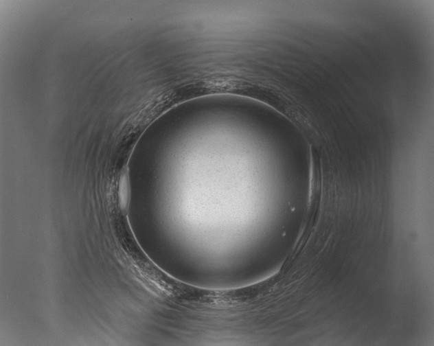 X0000076420601200610161128