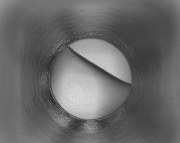 X0000076420603200610161128