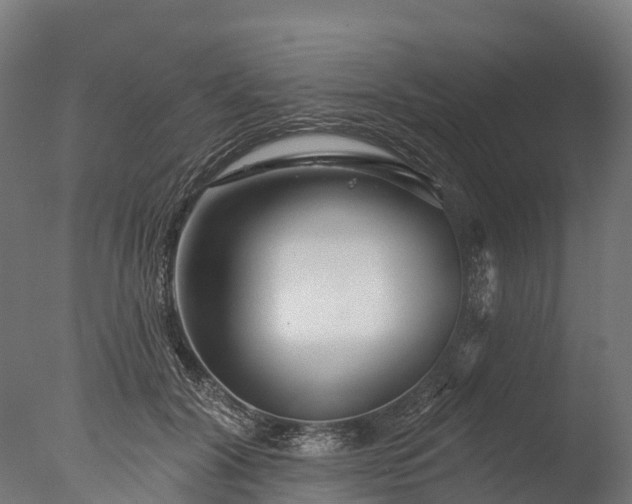 X0000076420604200610161128