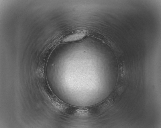X0000076420606200610161128