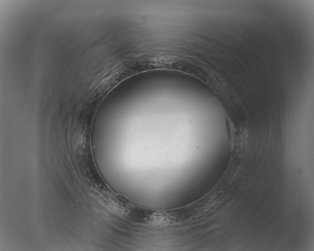 X0000076420608200610161128