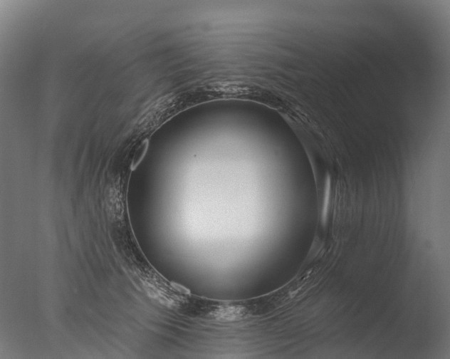X0000076420609200610161128