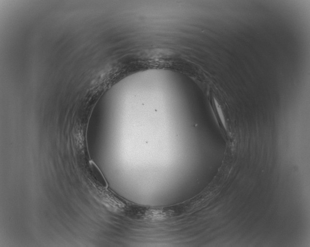 X0000076420613200610161128