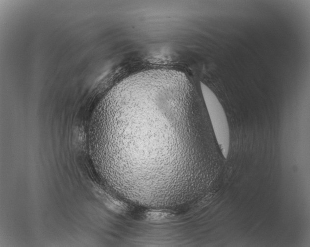 X0000076420614200610161128