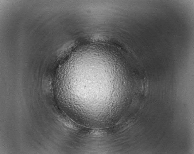 X0000076420619200610161128