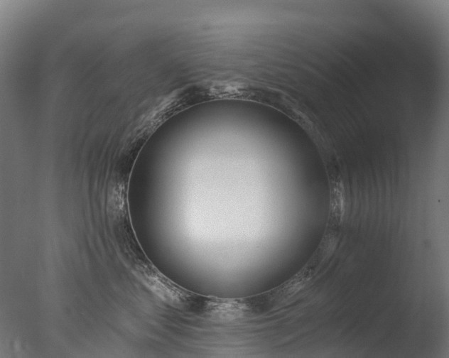 X0000076420621200610161128