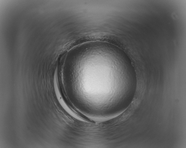 X0000076420624200610161128
