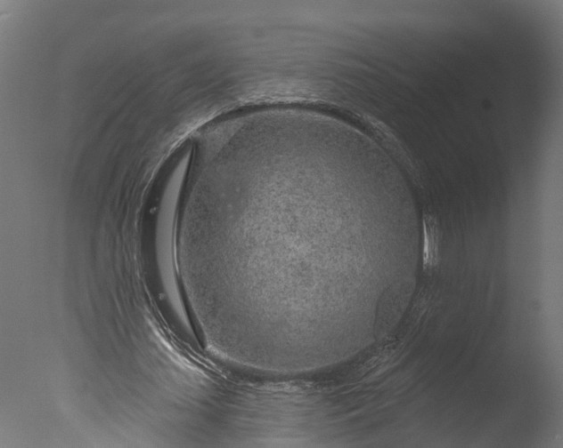 X0000076420627200610161127