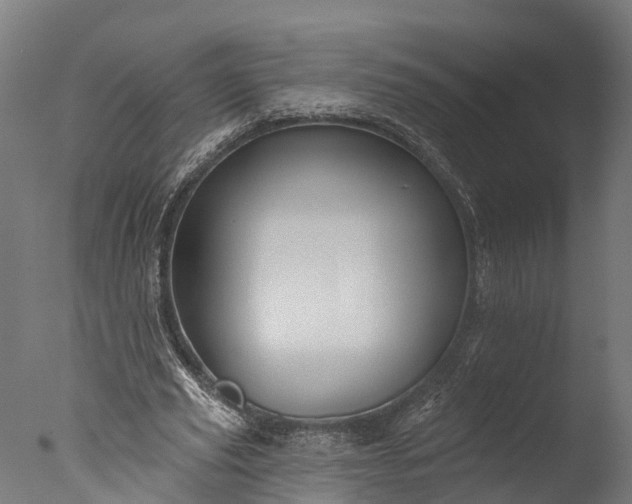 X0000076420629200610161127