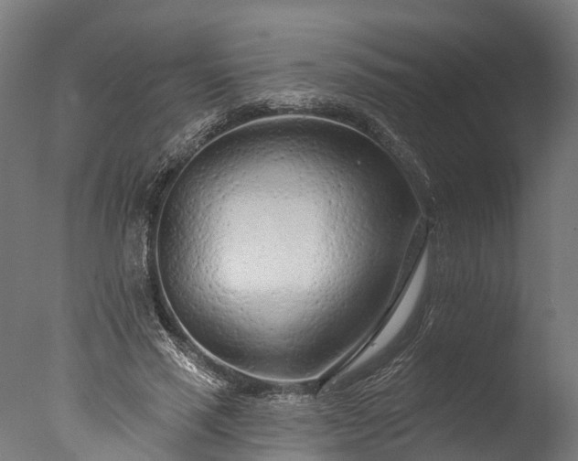 X0000076420637200610161127