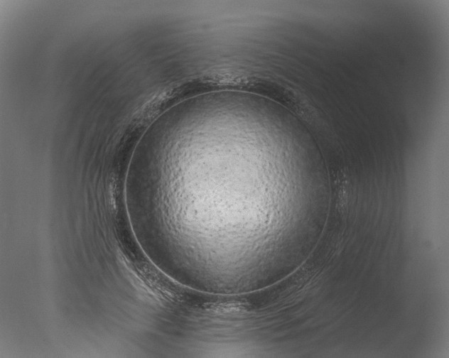 X0000076420643200610161128