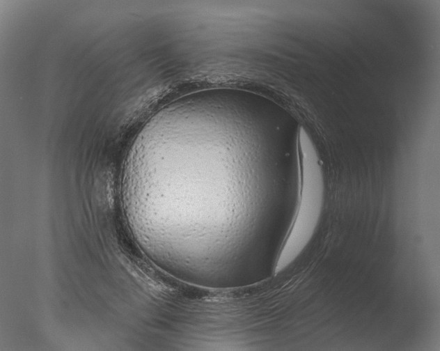 X0000076420644200610161128