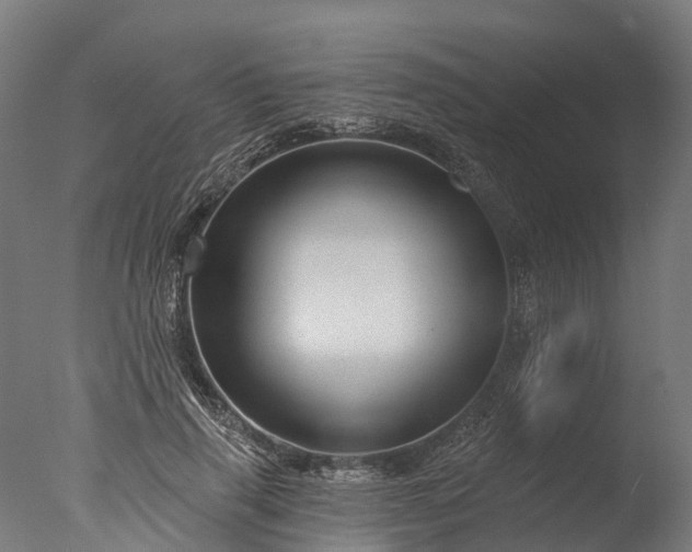 X0000076420645200610161128