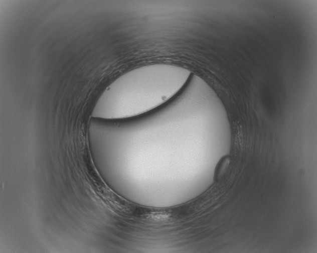 X0000076420651200610161128